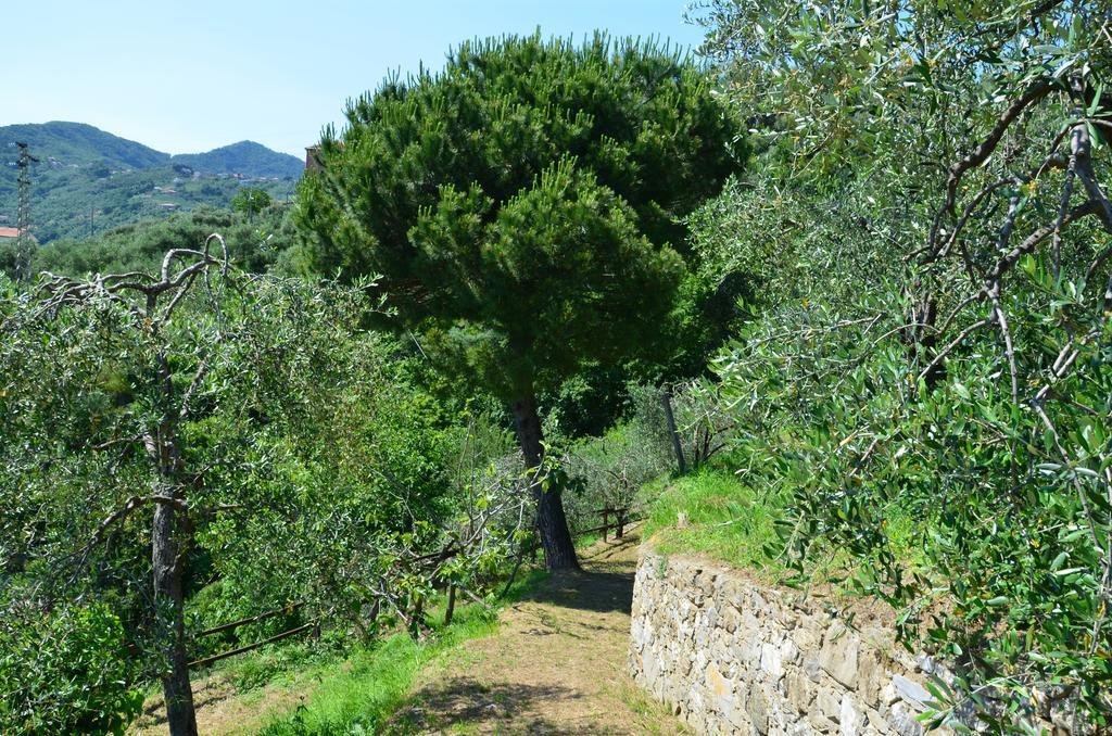Villa Delle Rose Chiavari Luaran gambar